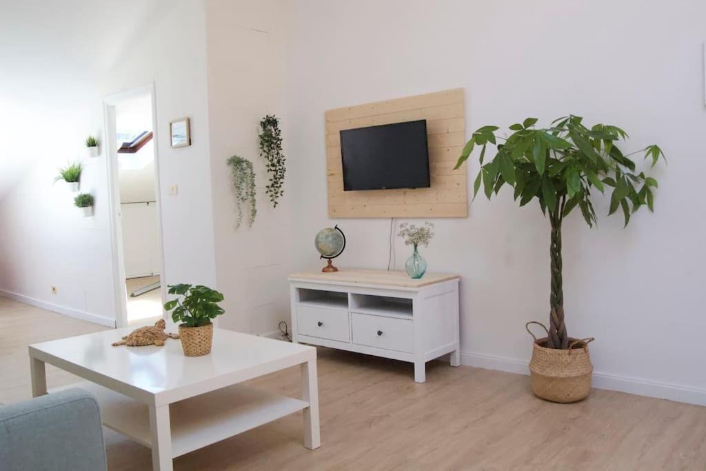Photo of Livingroom in Magdalena