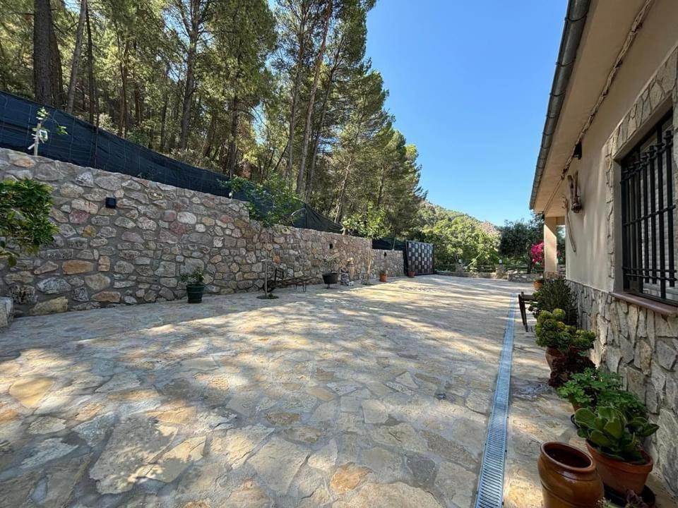 Photo of Others in La Iruela