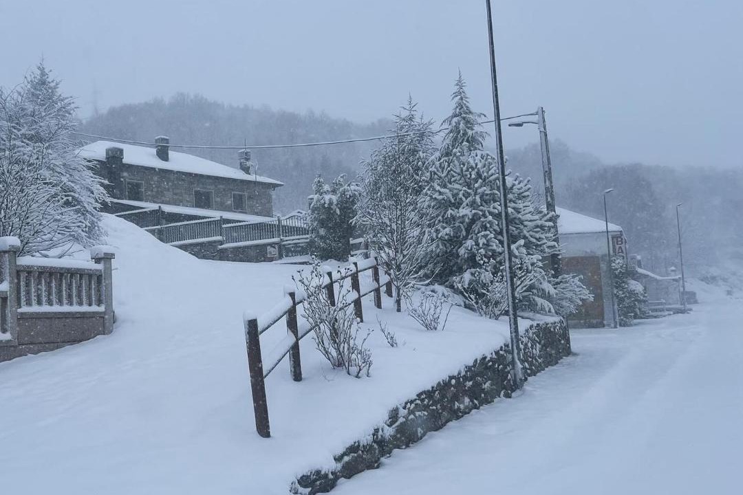 Photo of Others in Padornelo