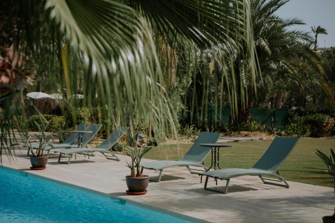 Photo of Others in Elche