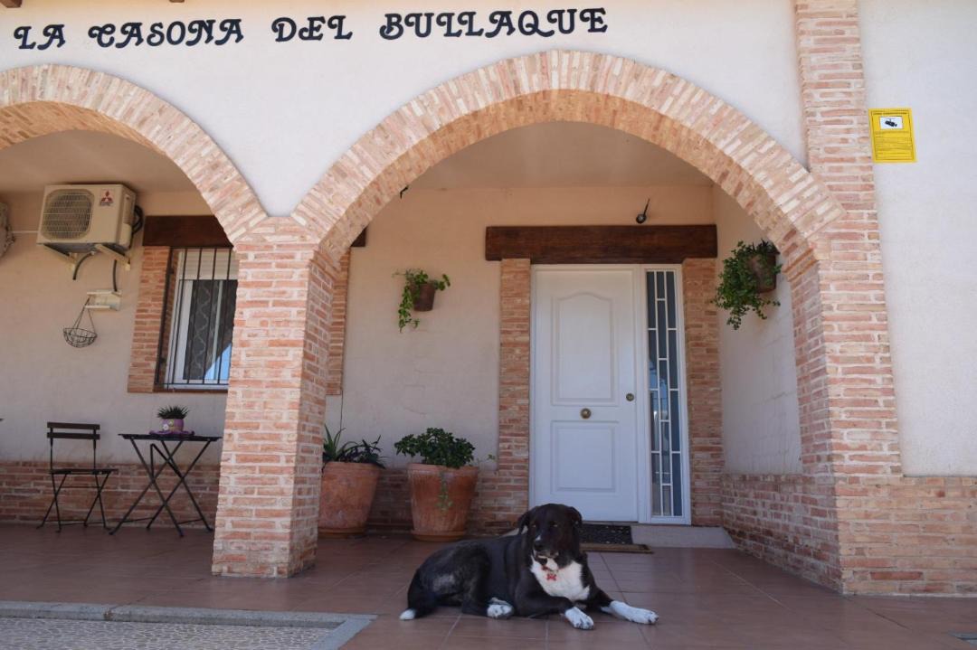 Photo of Others in El Robledo