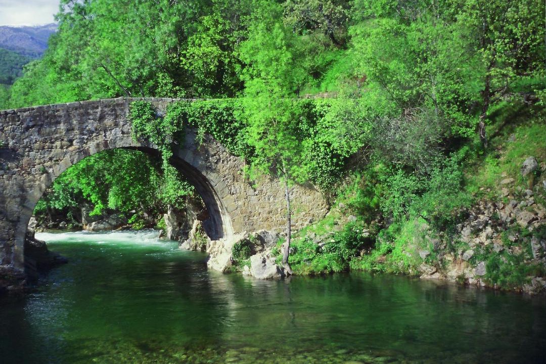 Photo of Others in Valverde de la Vera