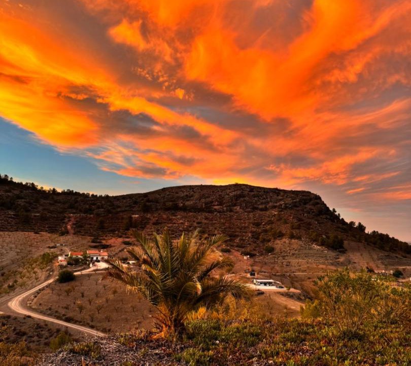 Photo of Others in Lorca