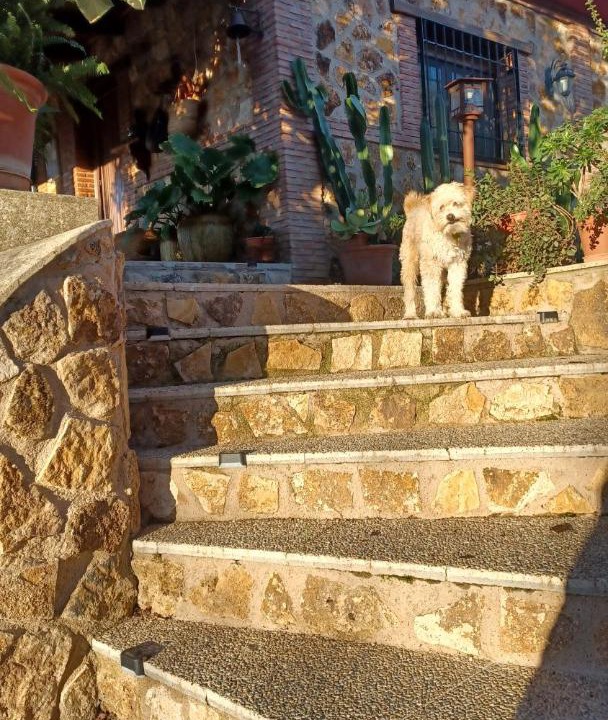 Photo of Others in Cazorla