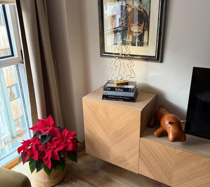 Photo of Livingroom in Oviedo City Centre