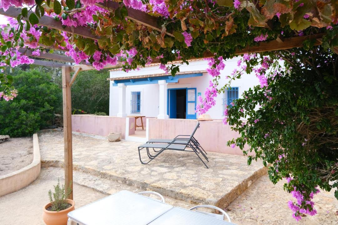 Photo of Others in Formentera