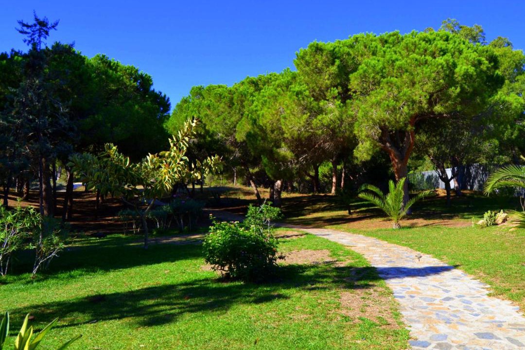 Photo of Outdoor in Guardamar del Segura
