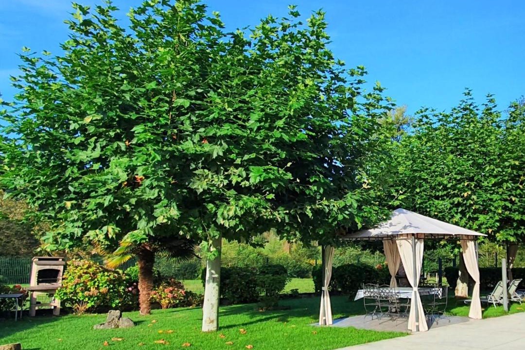 Photo of Outdoor in Soto de las Duenas