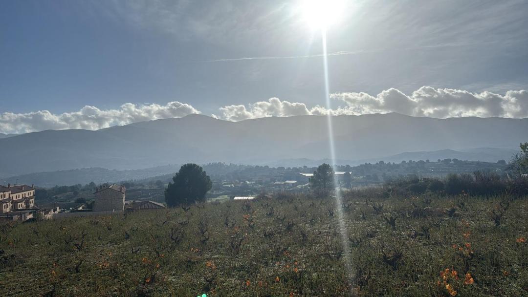 Photo of Others in Burgohondo