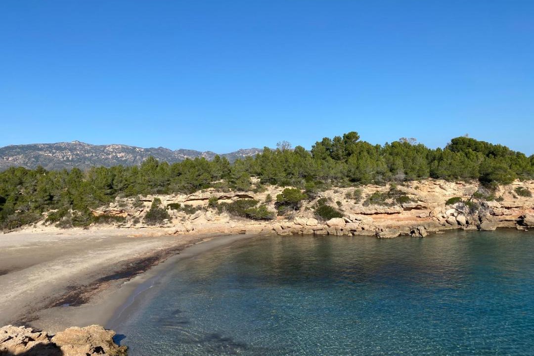 Photo of Others in Les Tres Cales