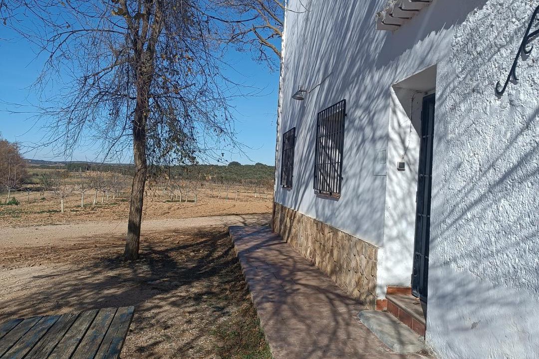 Photo of Others in Chinchilla de Monte-Aragon