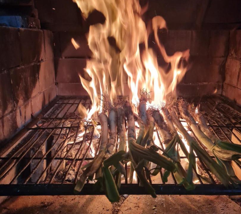 Photo of Kitchen in Hortiguela