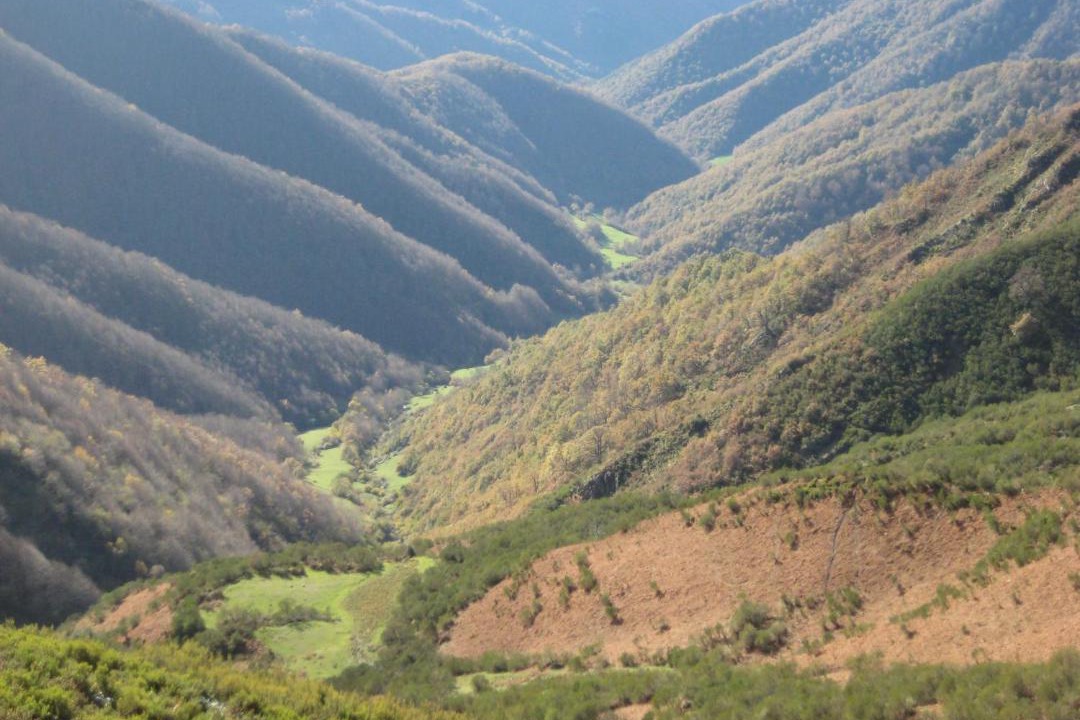 Photo of Outdoor in Cahecho