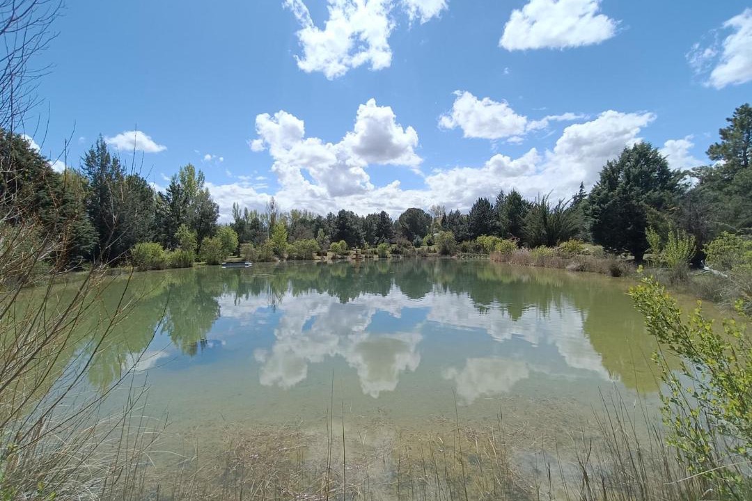 Photo of Others in El Burgo de Osma