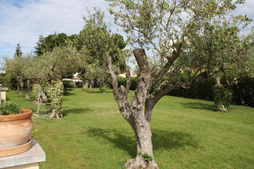 Photo of Others in Santa Margarida