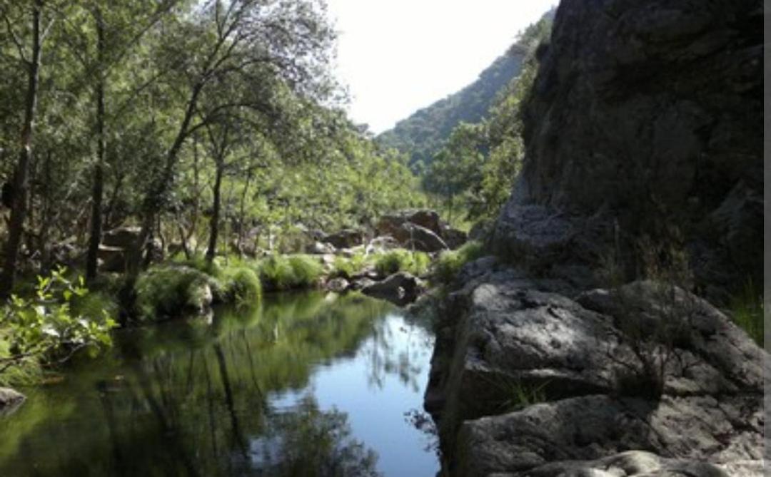 Photo of Others in Solana del Pino