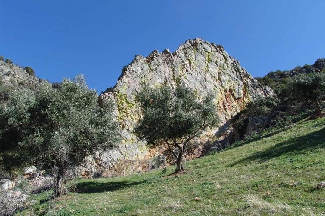 Photo of Others in Solana del Pino
