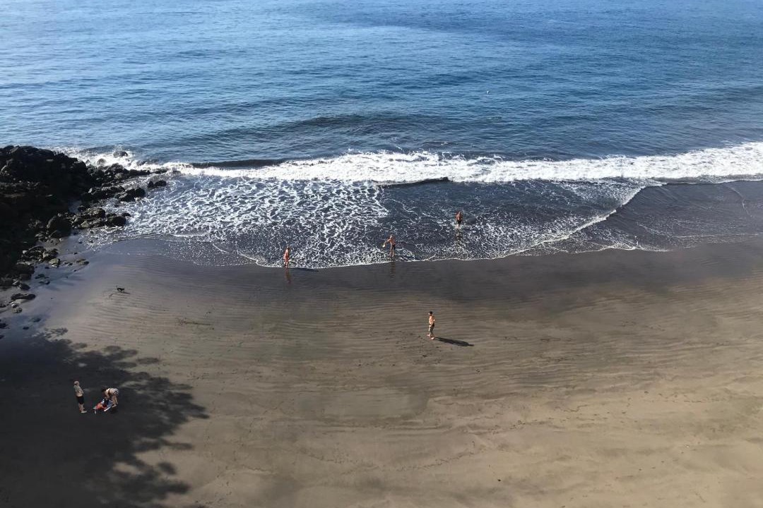 Photo of Others in Santa Cruz de Tenerife