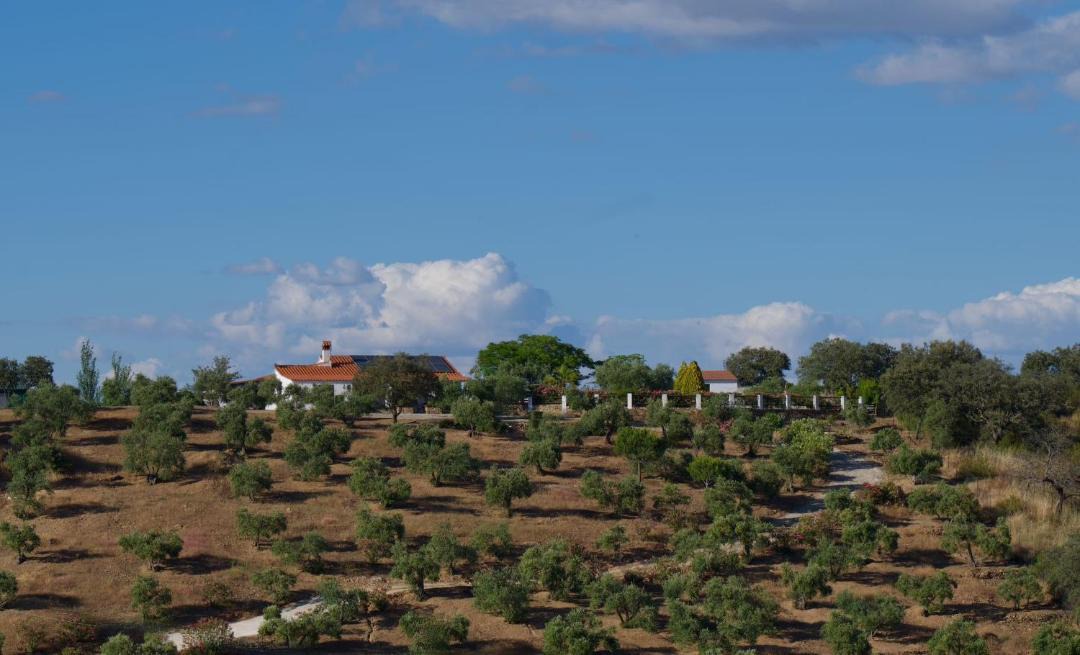 Photo of Others in Malcocinado