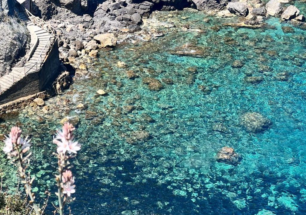 Photo of Others in Banyalbufar