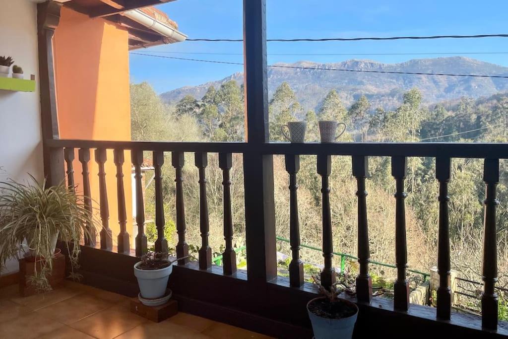 Photo of Patio Balcony in Pivierda