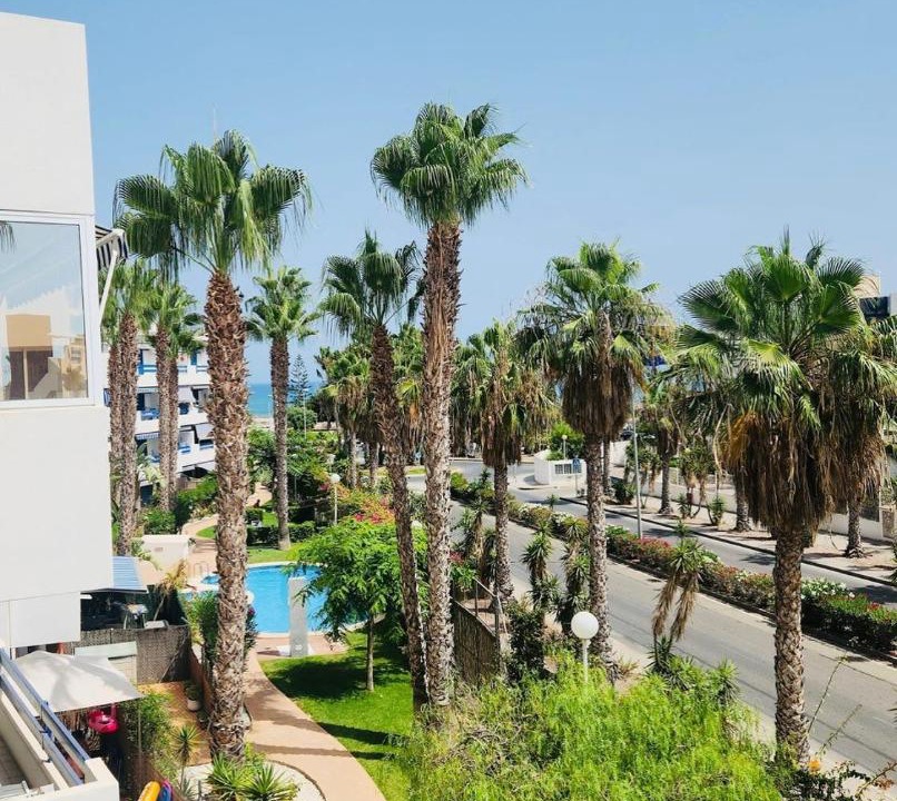 Photo of Others in Flamenca Beach