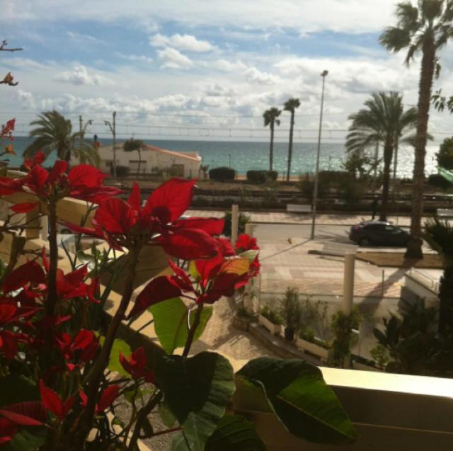 Photo of Patio Balcony in Pineda de Mar