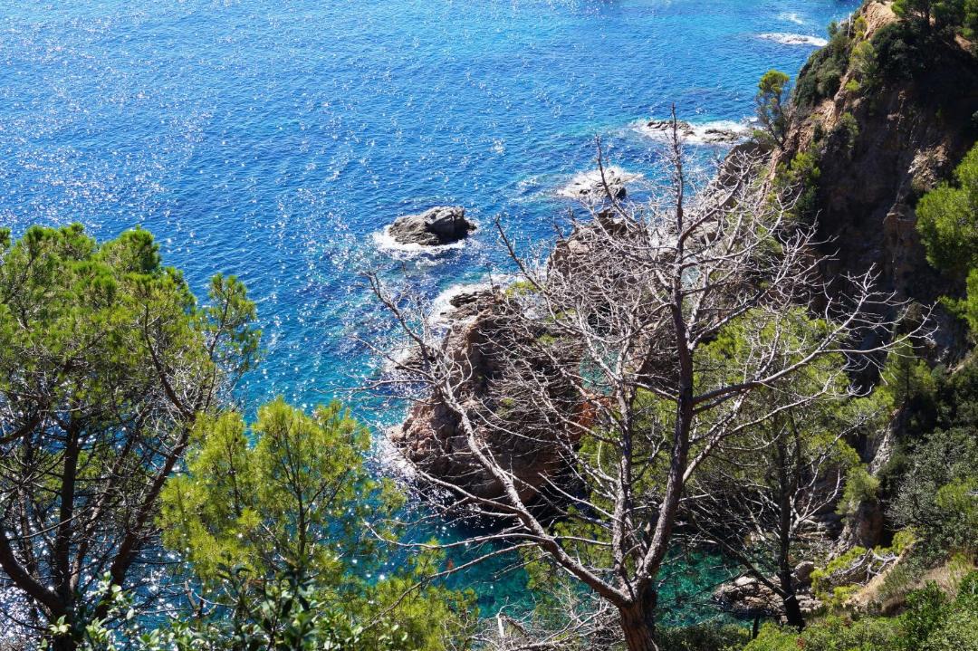 Photo of Others in Tossa de Mar