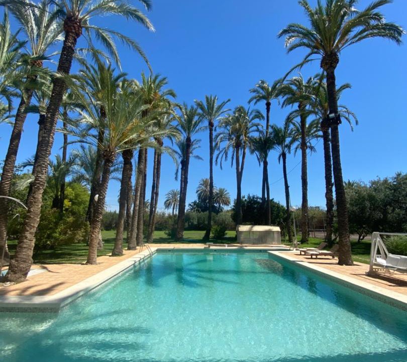 Photo of Others in Elche