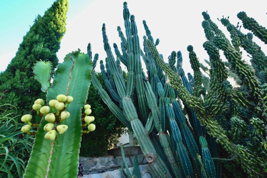 Photo of Outdoor in Garrigas