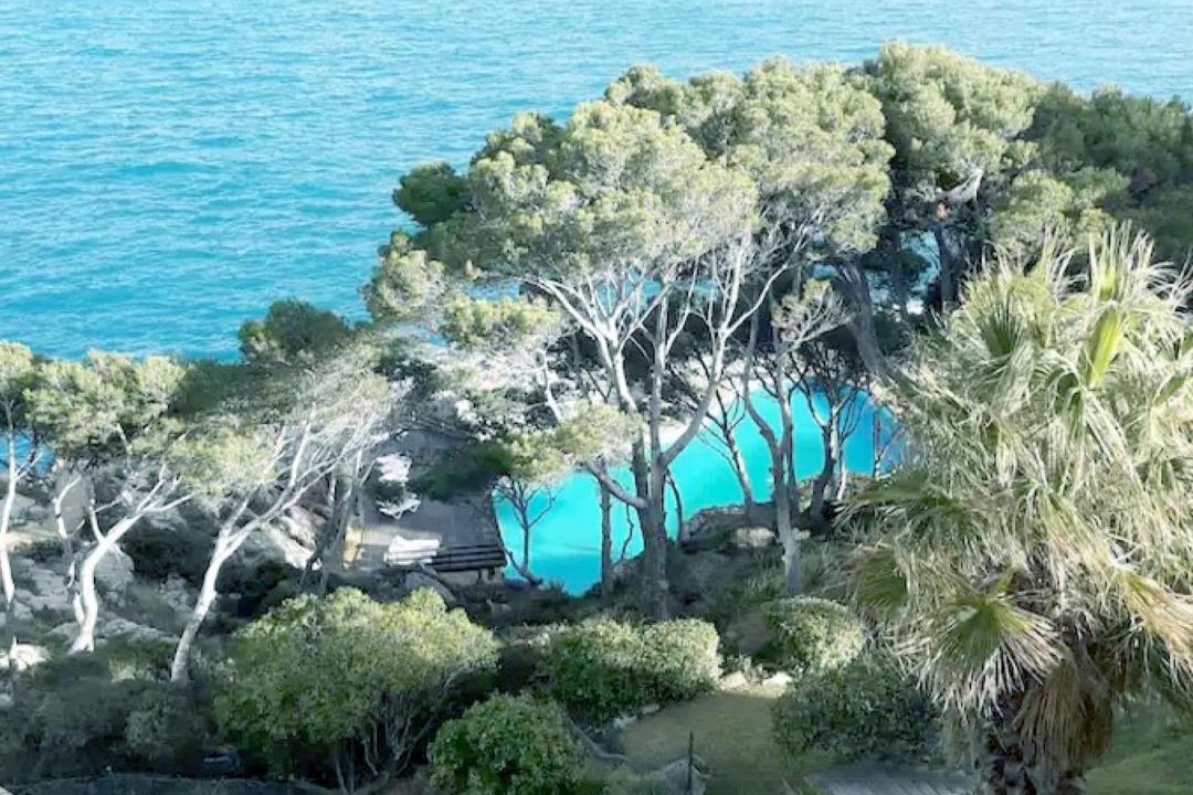 Photo of Others in Begur
