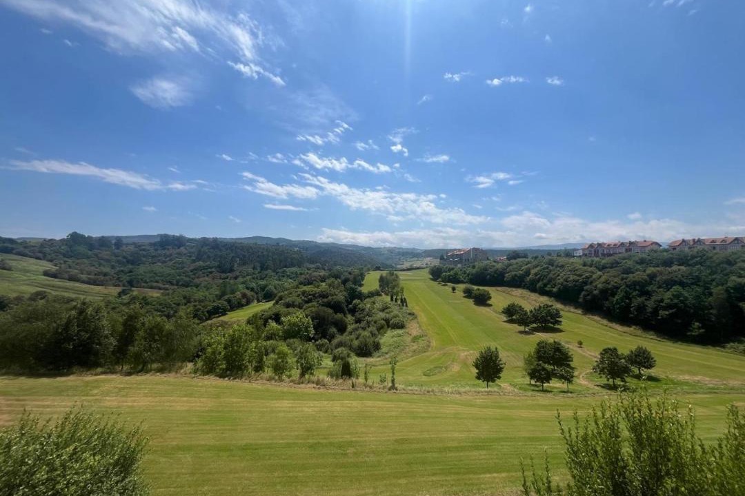 Photo of Others in Comillas