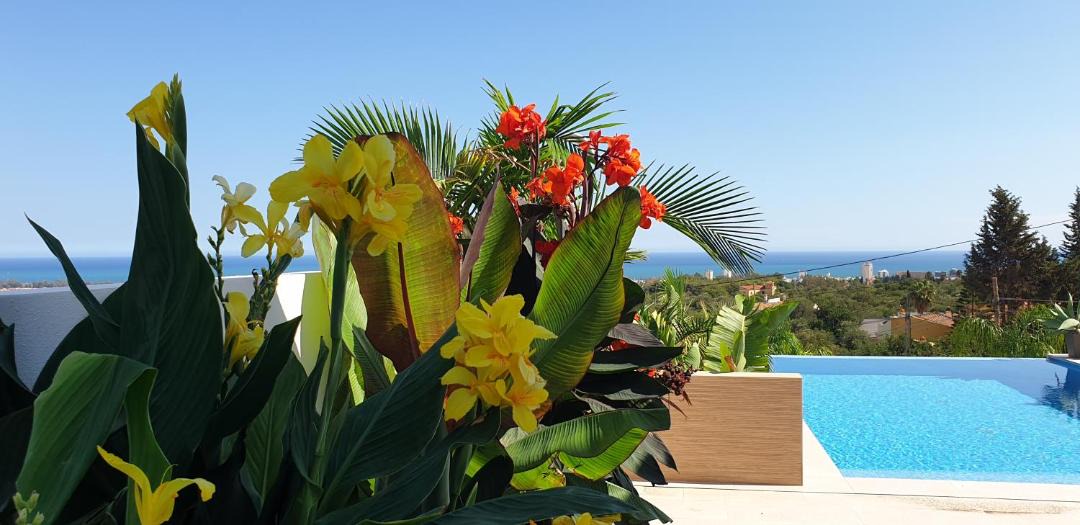 Photo of Patio Balcony in Churriana