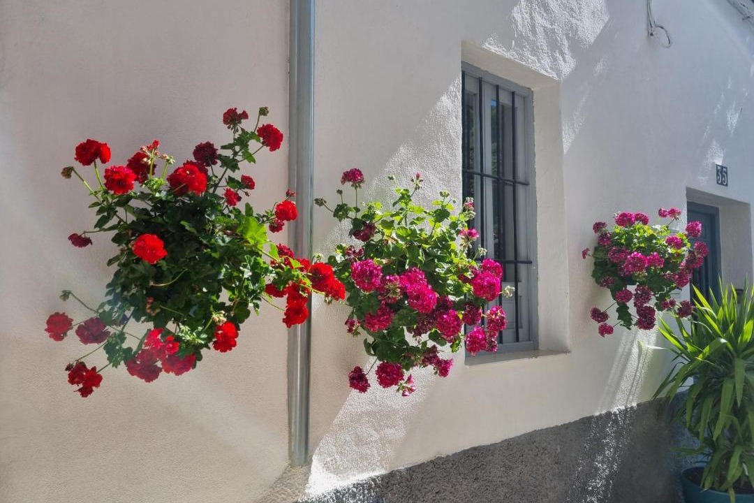 Photo of Patio Balcony in Cazorla