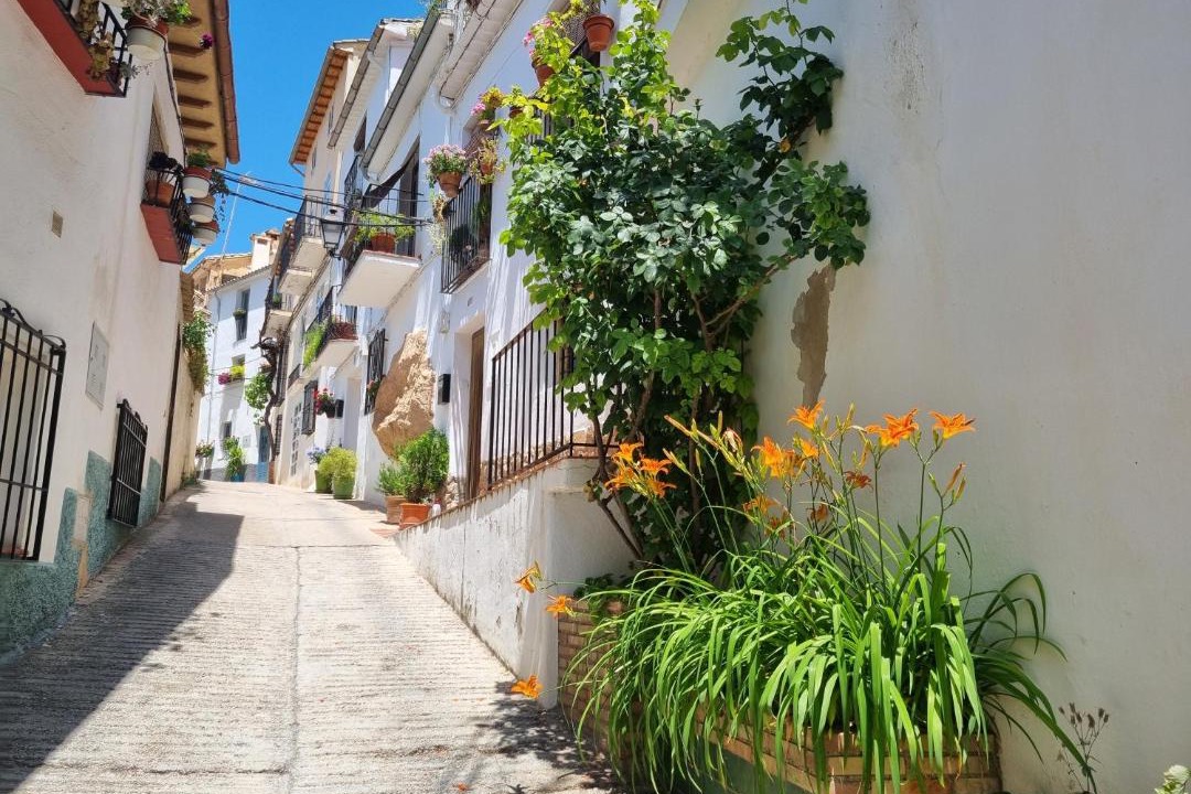 Photo of Others in Cazorla