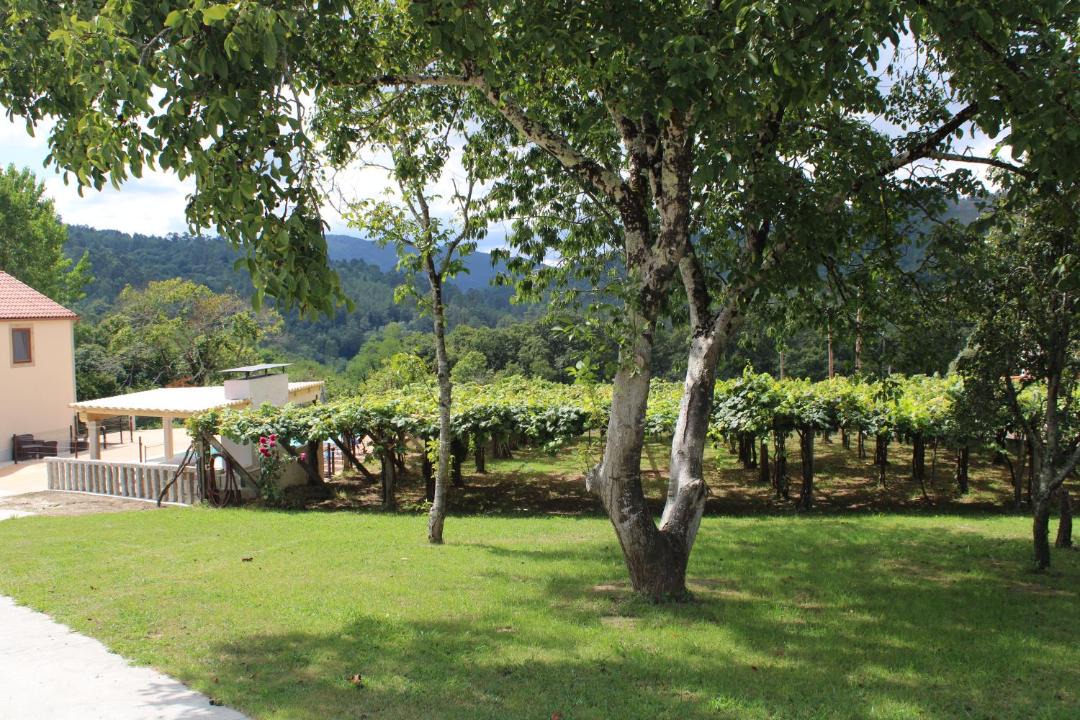 Photo of Others in Pontevea