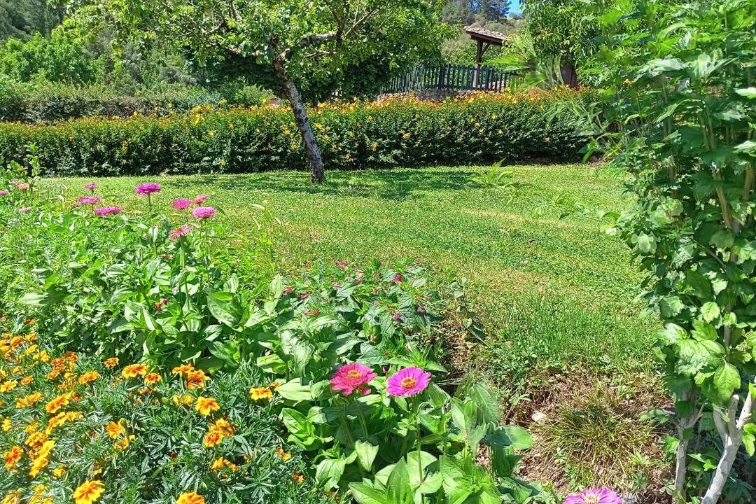 Photo of Outdoor in Frama