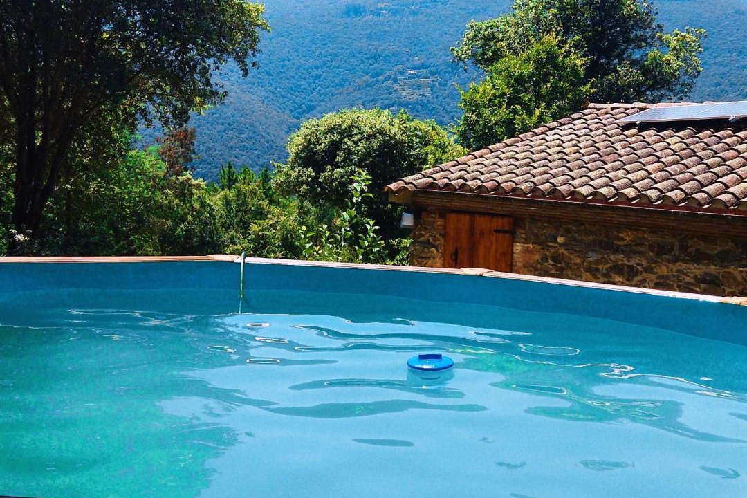 Photo of Others in Montseny