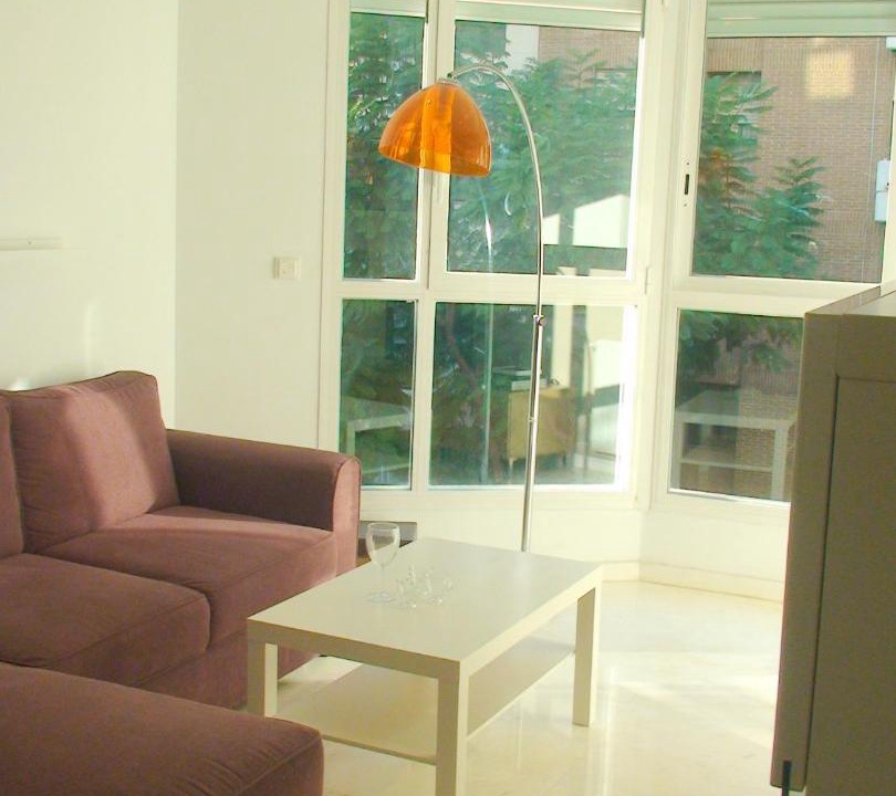 Photo of Livingroom in Mestalla