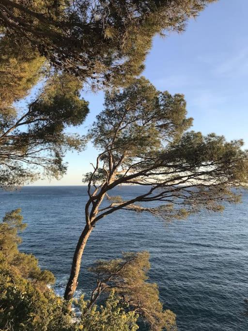 Photo of Outdoor in Llafranc