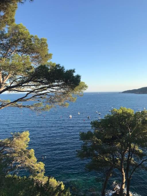 Photo of Outdoor in Llafranc