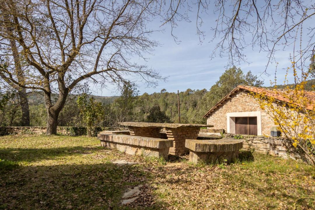 Photo of Others in Santa Eulalia de Riuprimer