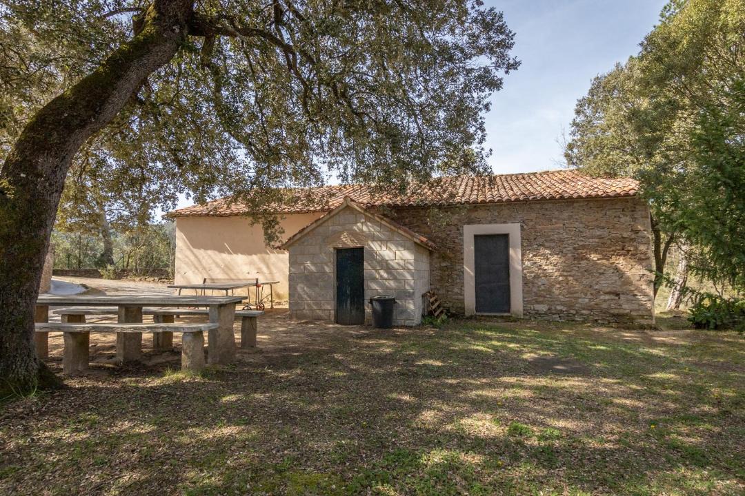 Photo of Others in Santa Eulalia de Riuprimer