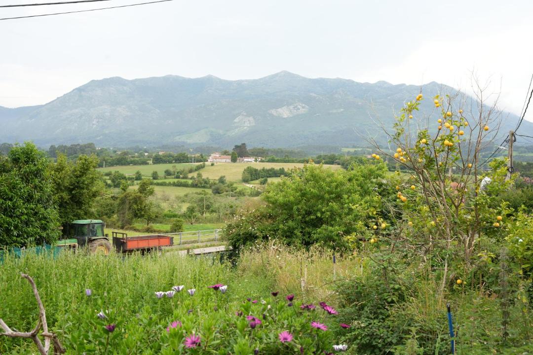 Photo of Others in Colunga