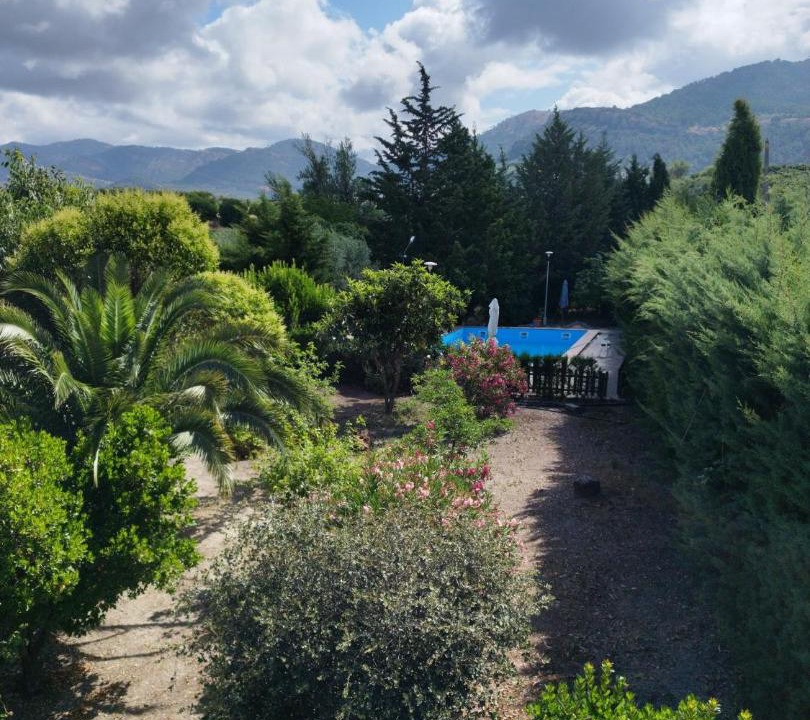 Photo of Others in La Iruela