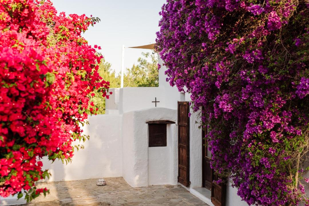 Photo of Others in Ibiza Island