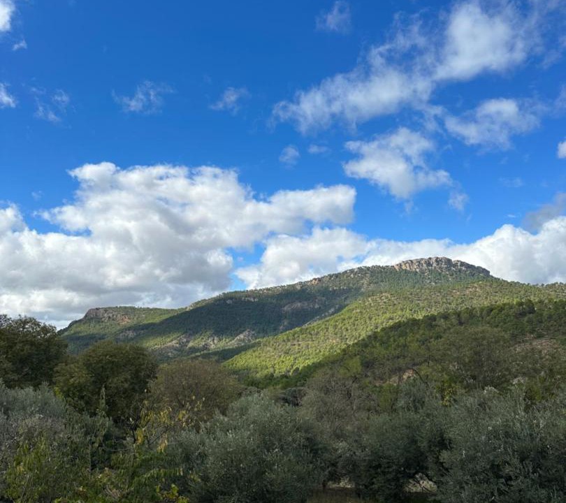Photo of Others in Orcera