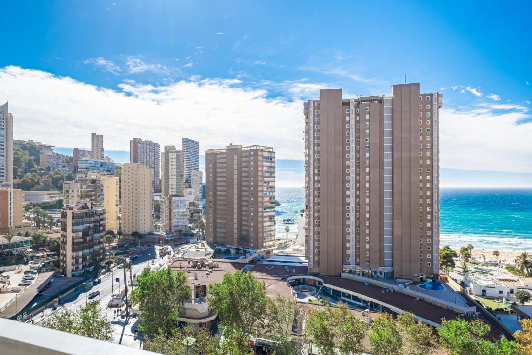 Photo of Others in Benidorm