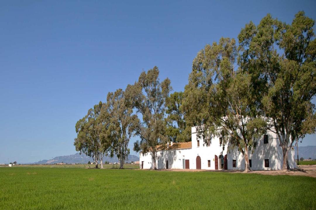 Photo of Others in Sant Jaume d'Enveja
