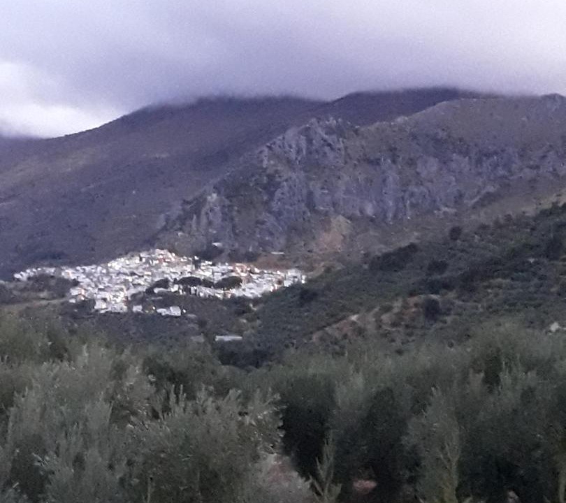 Photo of Others in Albanchez de Magina